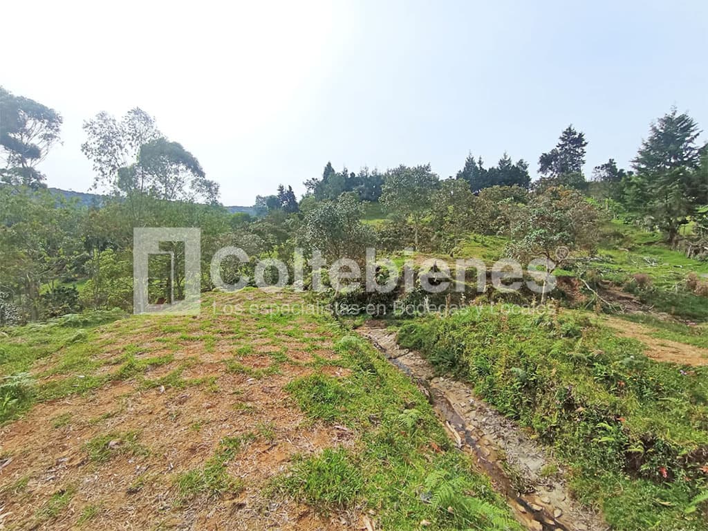 Venta de lote en El Alto de la Virgen-Antioquia