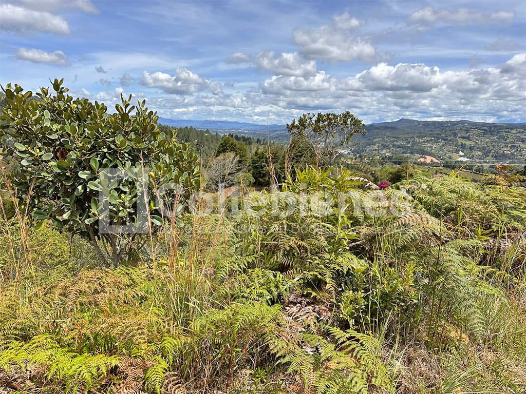 Venta de lote en Guarne-Antioquia