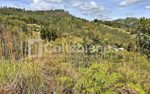 Venta de lote en Guarne-Antioquia