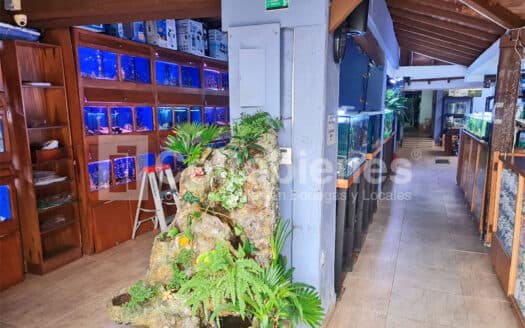 Local en arriendo en El Poblado-Medellín