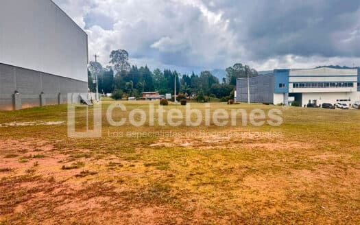 Lote en arriendo/venta en Guarne-Antioquia