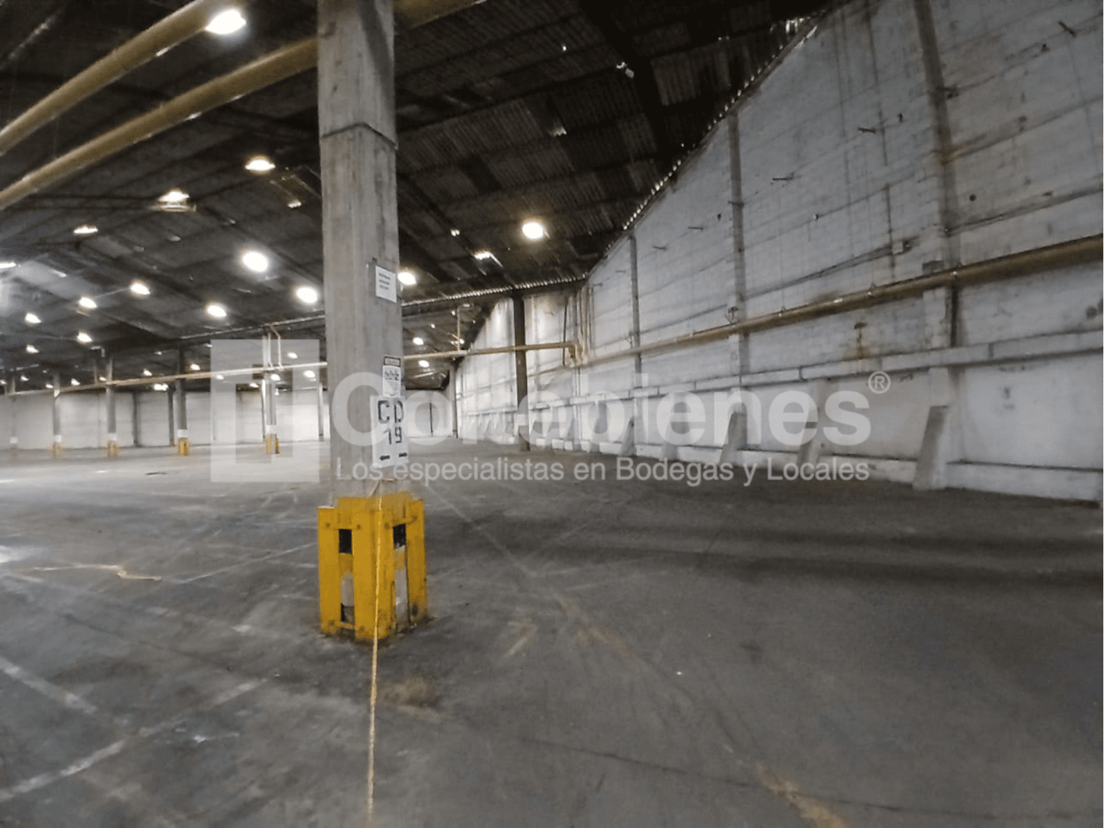 Bodega en arriendo/venta en Santa Cruz-Itagüí foto 3