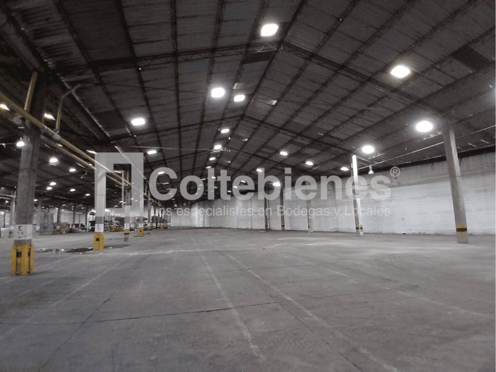 Bodega en arriendo/venta en Santa Cruz-Itagüí foto 5