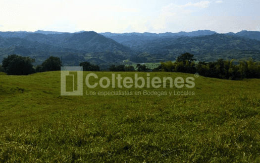Inversión en el Eje Cafetero lote con gran proyección y ubicación estratégica