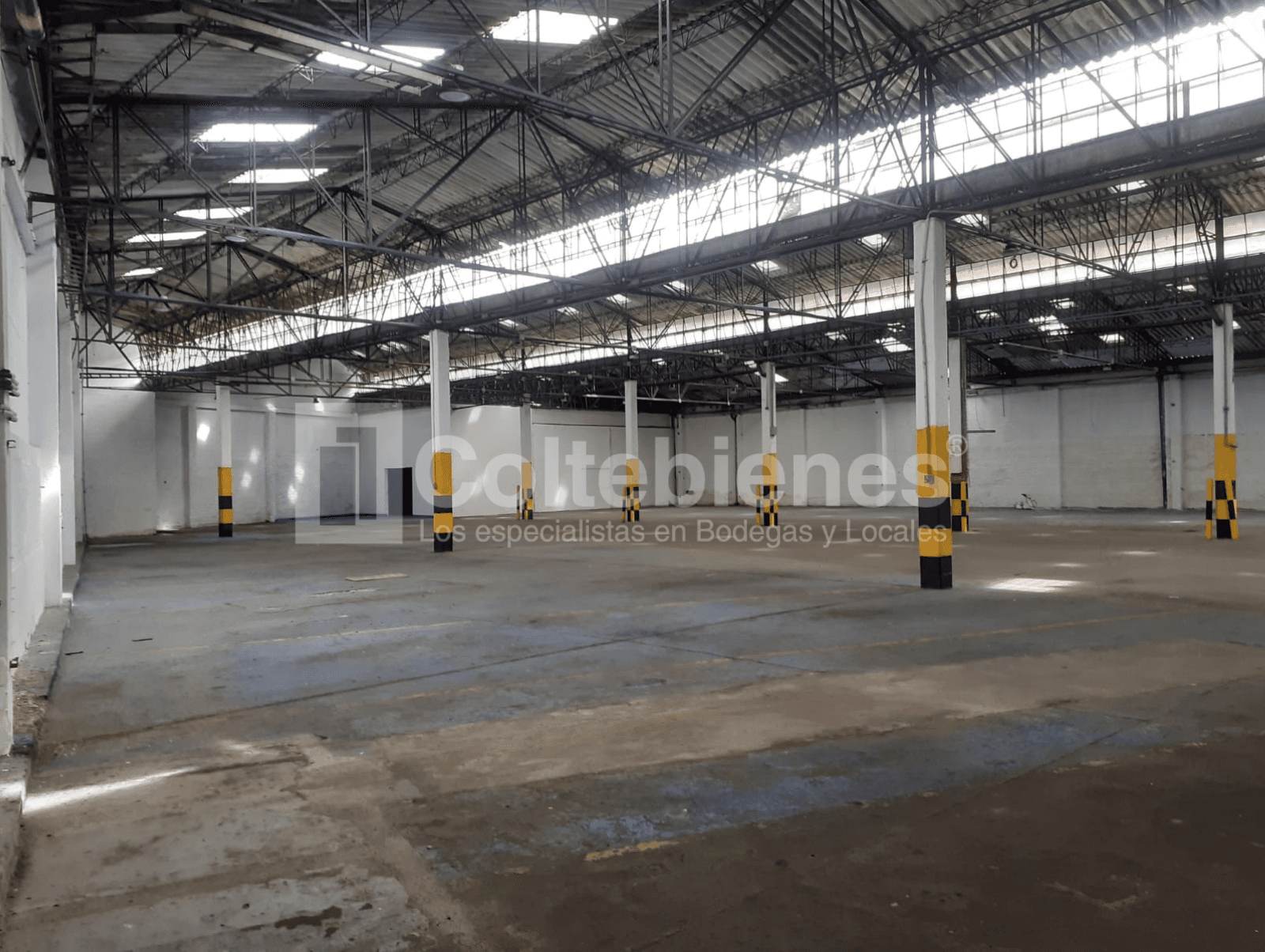 Bodega industrial en arriendo en Los Naranjos-Itagüí foto 4