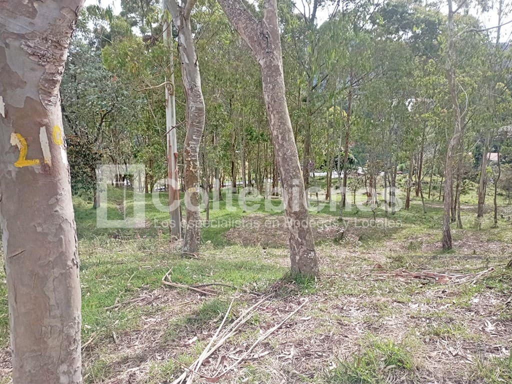 Lote en venta – Copacabana foto 2