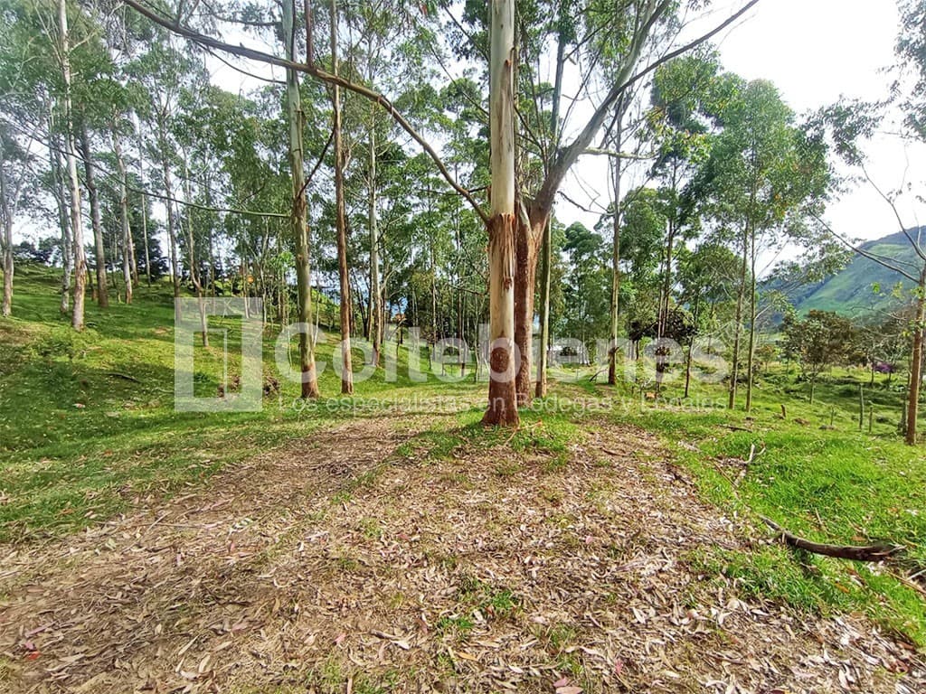 Lote en venta – Copacabana foto 5