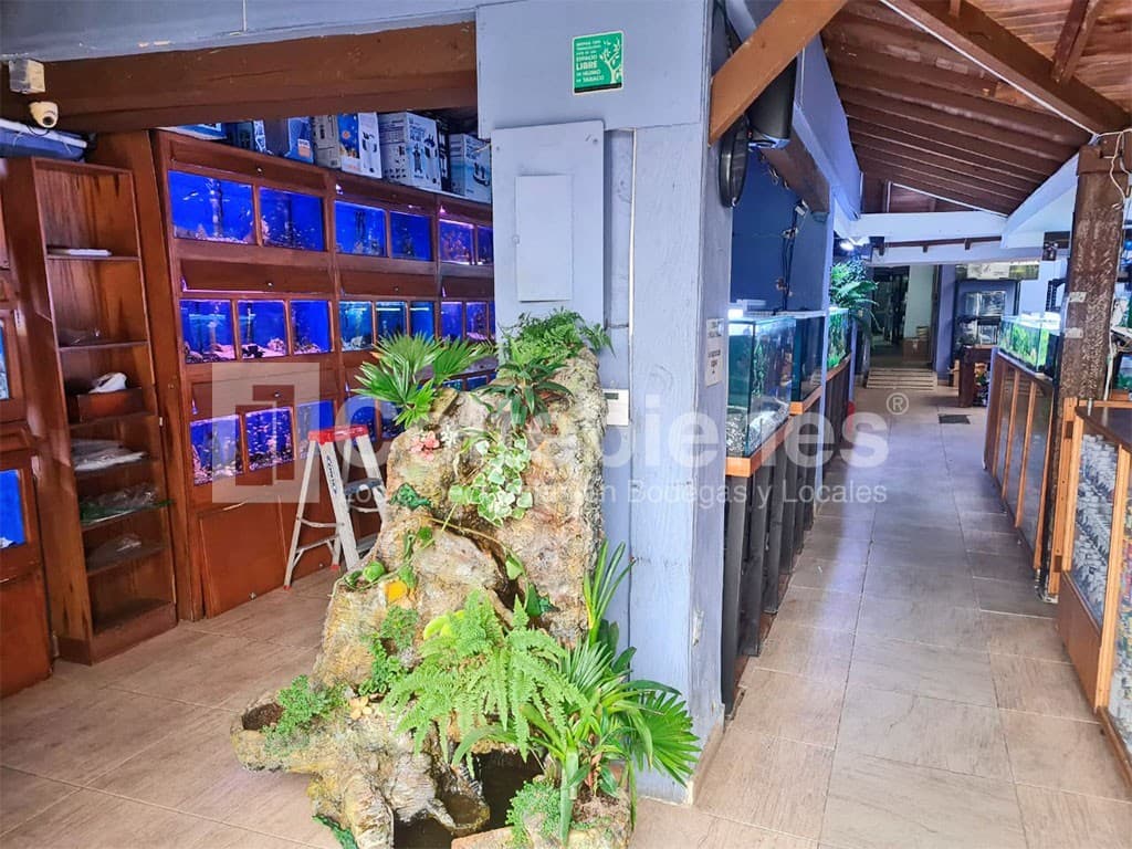 Local en arriendo/venta – Poblado, Medellín