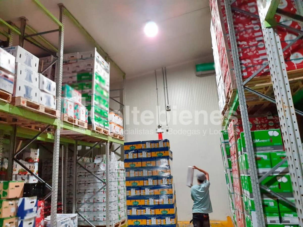 Bodega en arriendo – La Mayorista, Itagüí foto 5