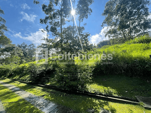 Venta de lote San Lucas foto 4