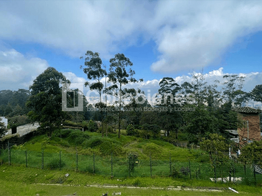 Venta de lote San Lucas foto 3