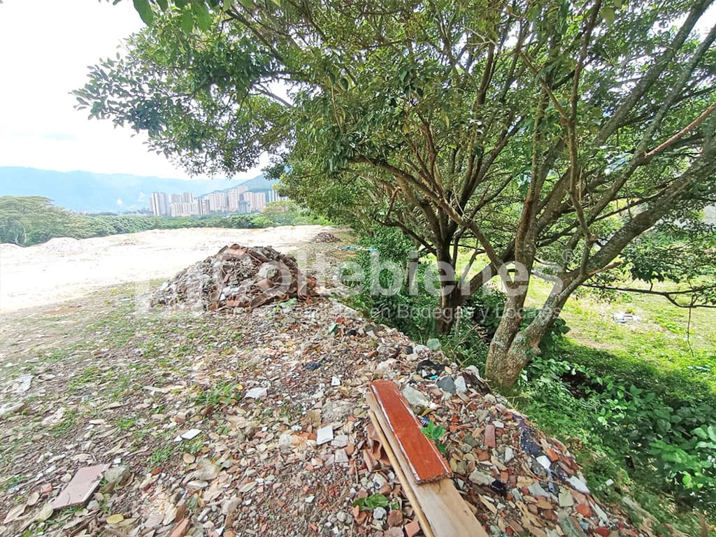 Arriendo de lote en vía Machado Copacabana-Antioquia foto 4