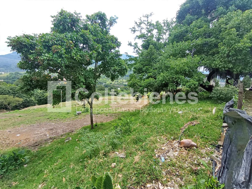 Venta de lote en vía Machado Copacabana-Antioquia foto 2