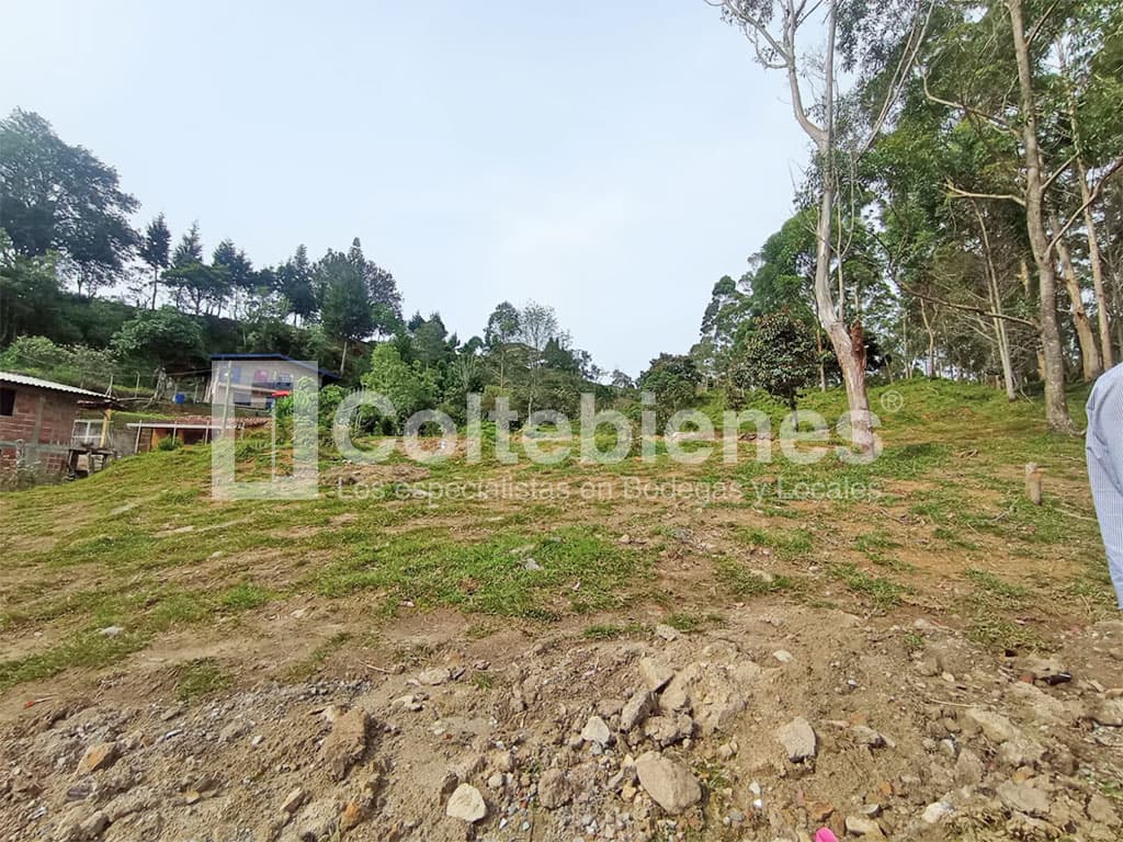 Venta de lote en El Alto de la Virgen-Antioquia foto 5