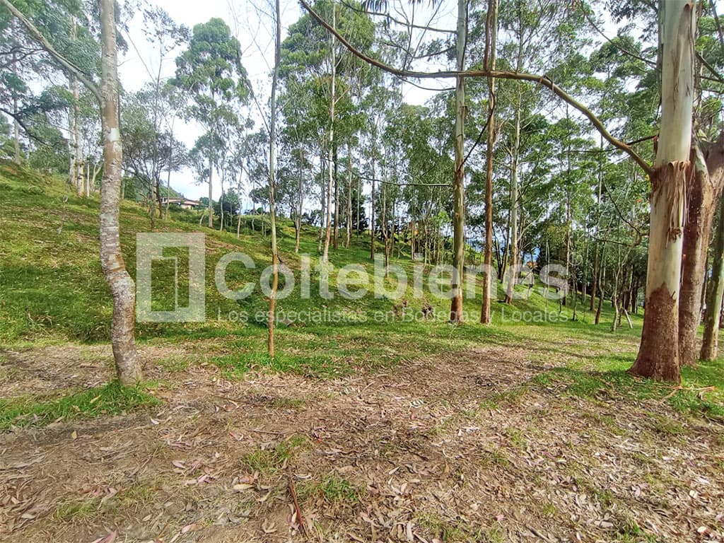 Venta de lote en El Alto de la Virgen-Antioquia foto 2