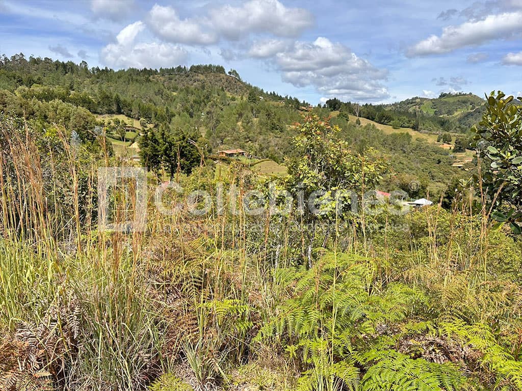 Venta de lote en Guarne-Antioquia foto 3