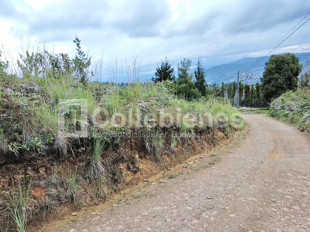 Venta de lote en Guarne-Antioquia foto 4
