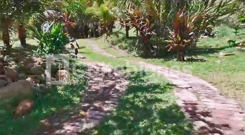 Lote en venta en Cocorná-Antioquia foto 3