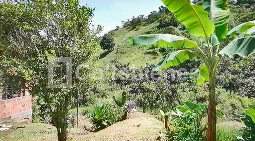 Lote en venta en Cocorná-Antioquia foto 4