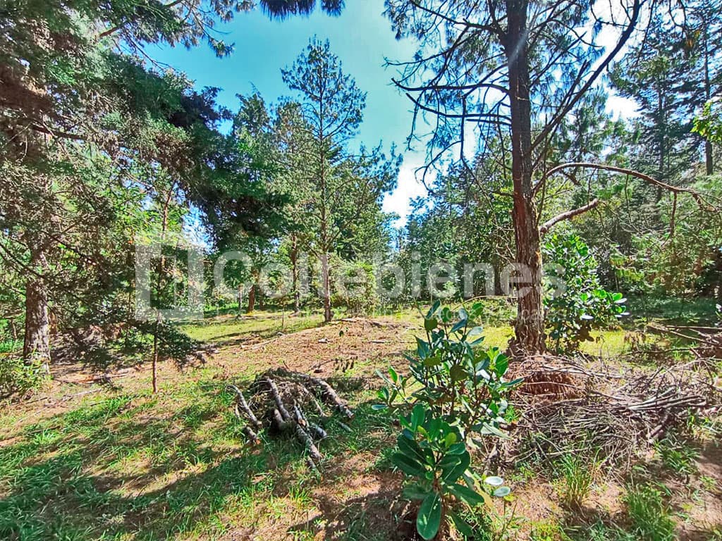 Lote en venta en Loma del Escobero-El Retiro foto 3
