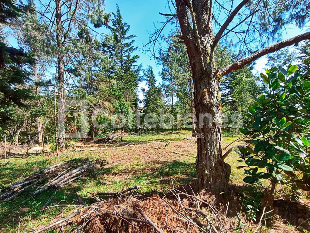 Lote en venta en Loma del Escobero-El Retiro foto 4