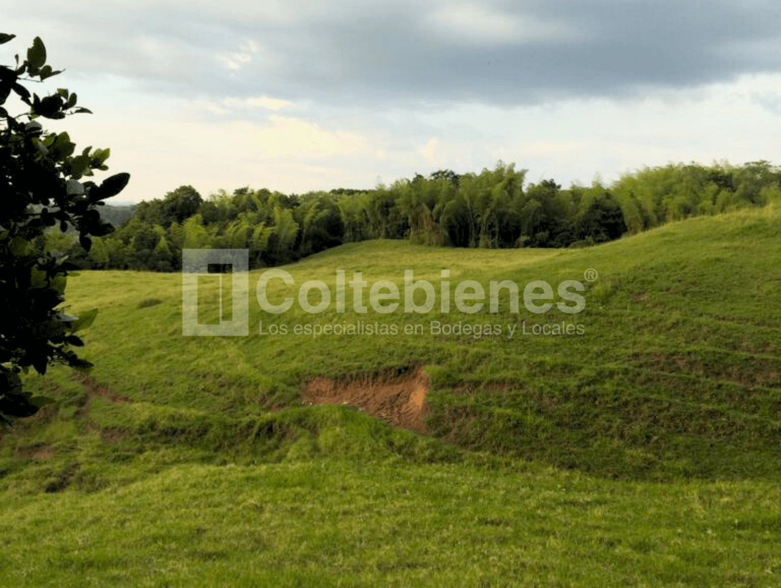 Inversión en el Eje Cafetero lote con gran proyección y ubicación estratégica foto 2