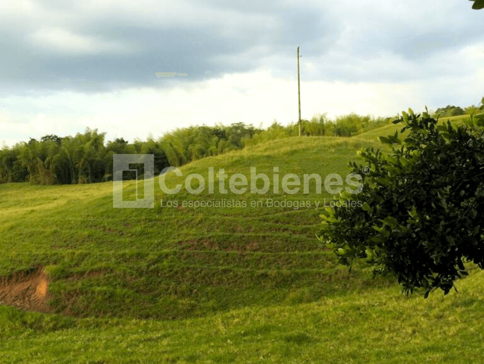 Inversión en el Eje Cafetero lote con gran proyección y ubicación estratégica foto 3