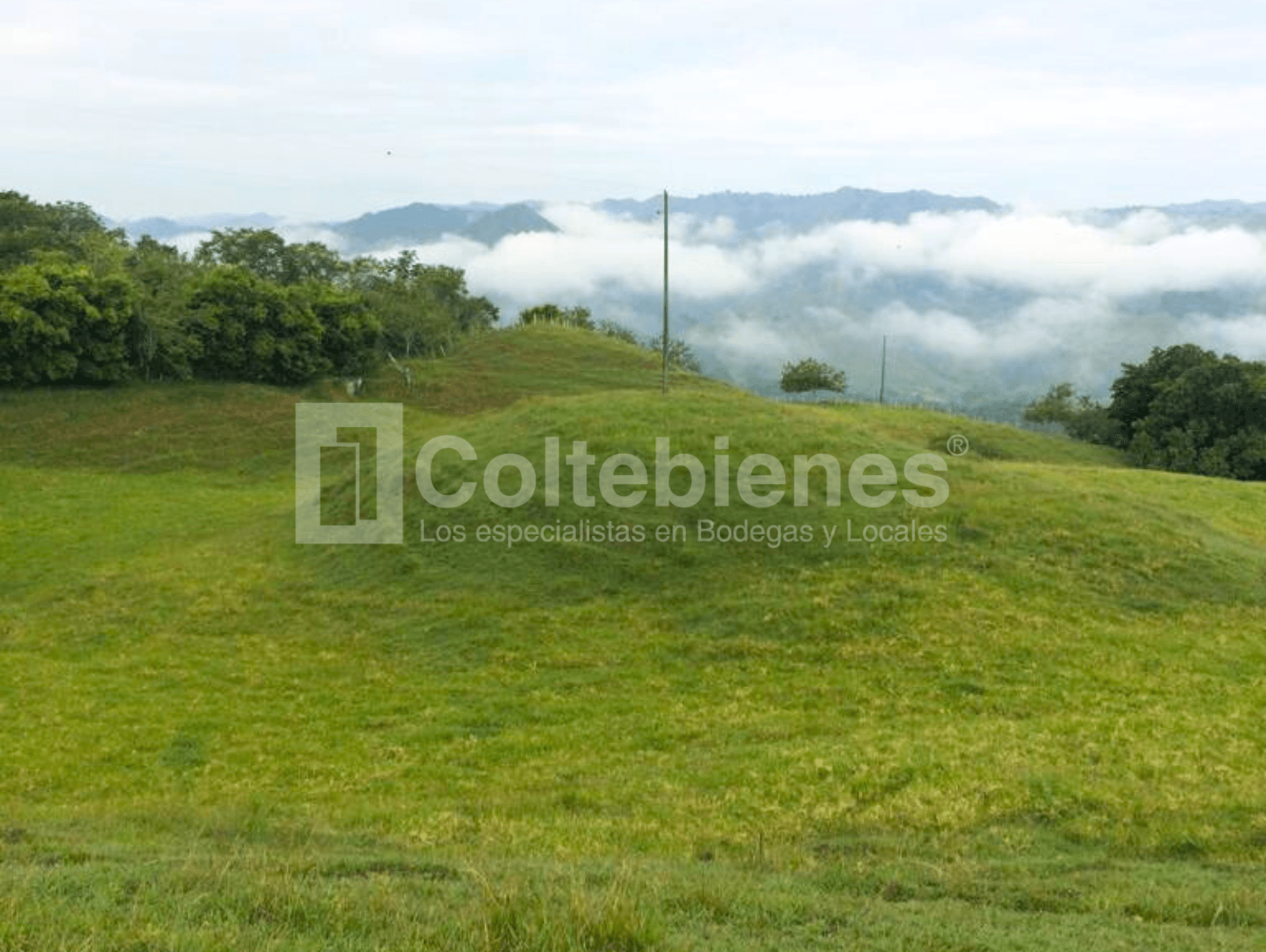 Inversión en el Eje Cafetero lote con gran proyección y ubicación estratégica foto 4