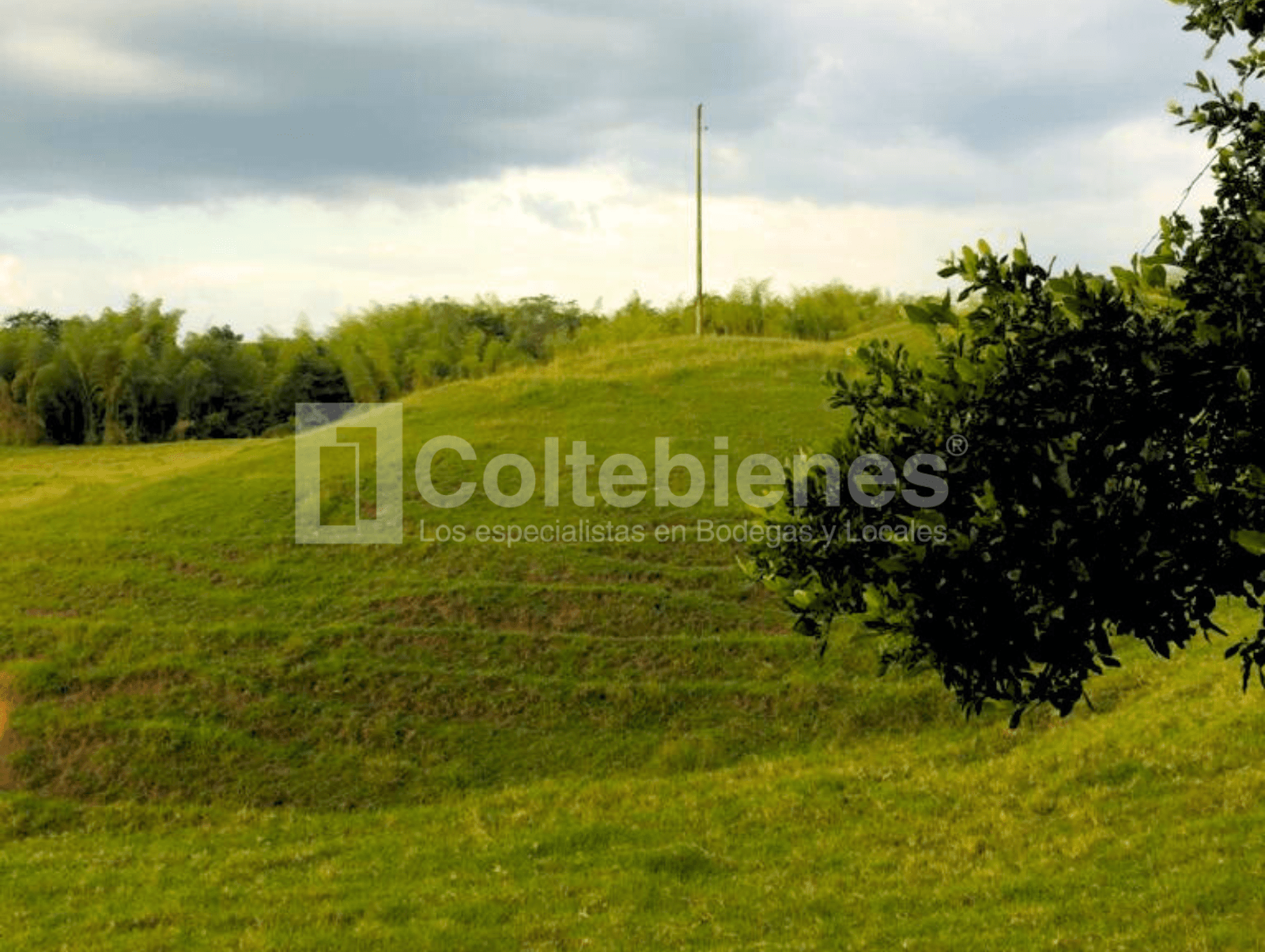 Inversión en el Eje Cafetero lote con gran proyección y ubicación estratégica foto 5