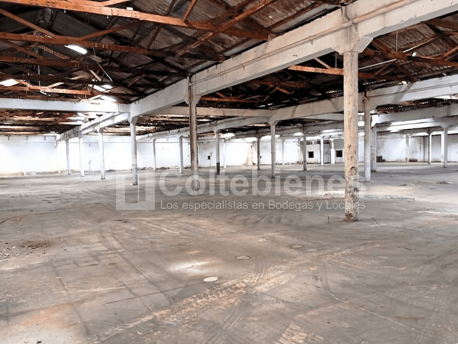 Funcional bodega en arriendo en Itagüí-Antioquia foto 3