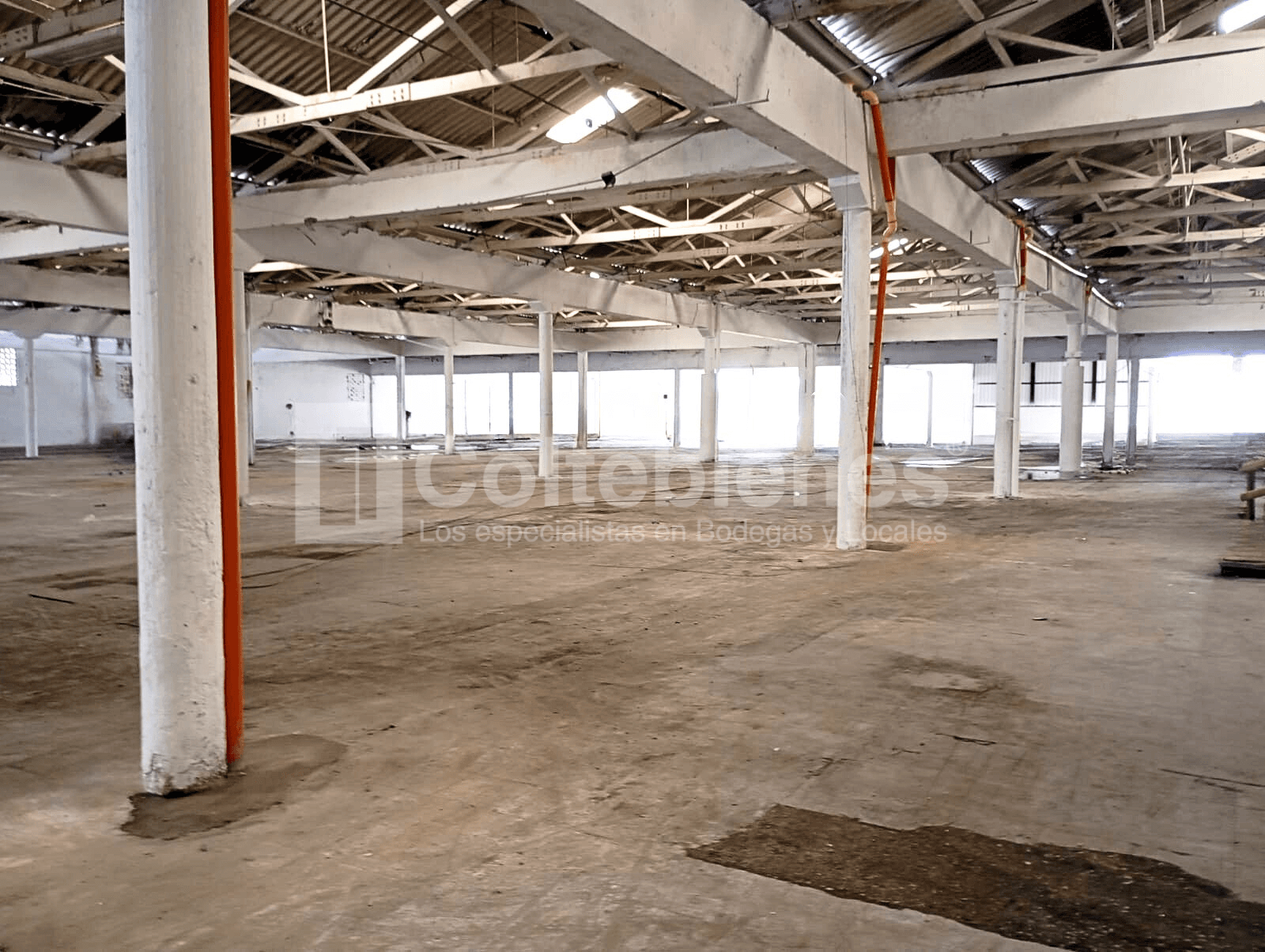 Funcional bodega en arriendo en Itagüí-Antioquia foto 2