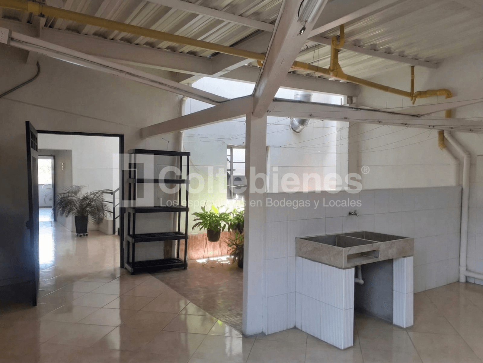 Edificio nuevo en arriendo en Laureles-Medellín foto 4
