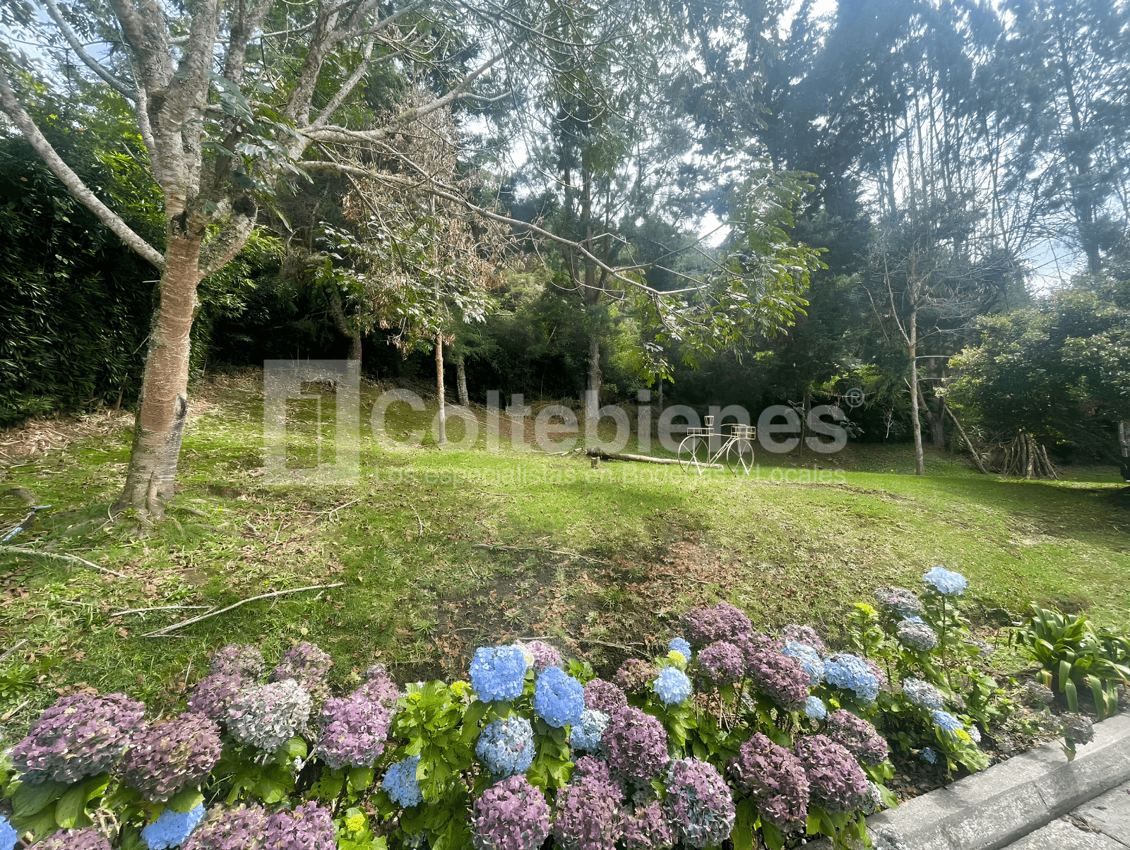 Hermosa casa de 1.450 m² en arriendo/venta en el Alto del Escobero-Envigado foto 5