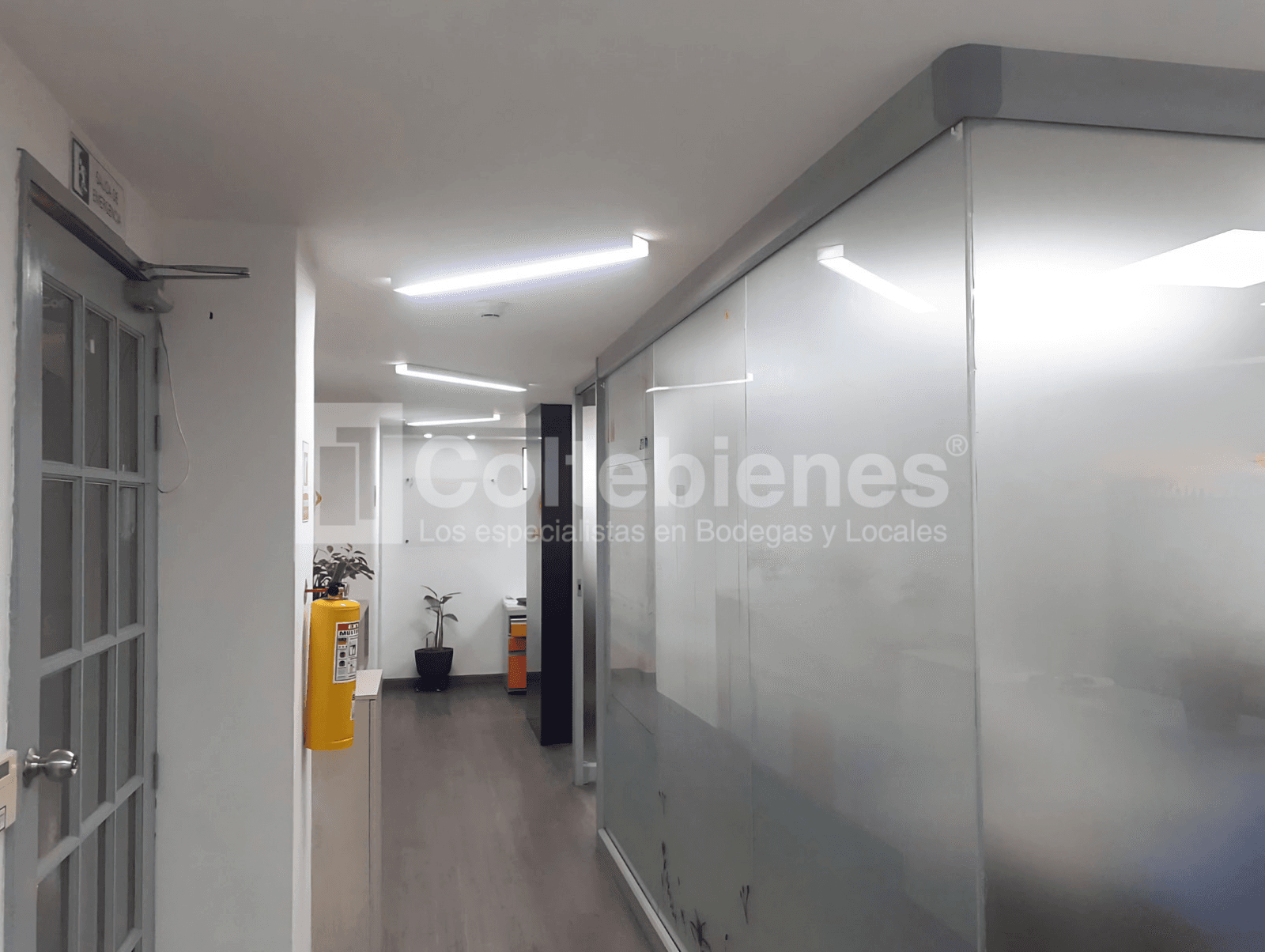 Local comercial en arriendo en El Rodeo-Guayabal foto 2