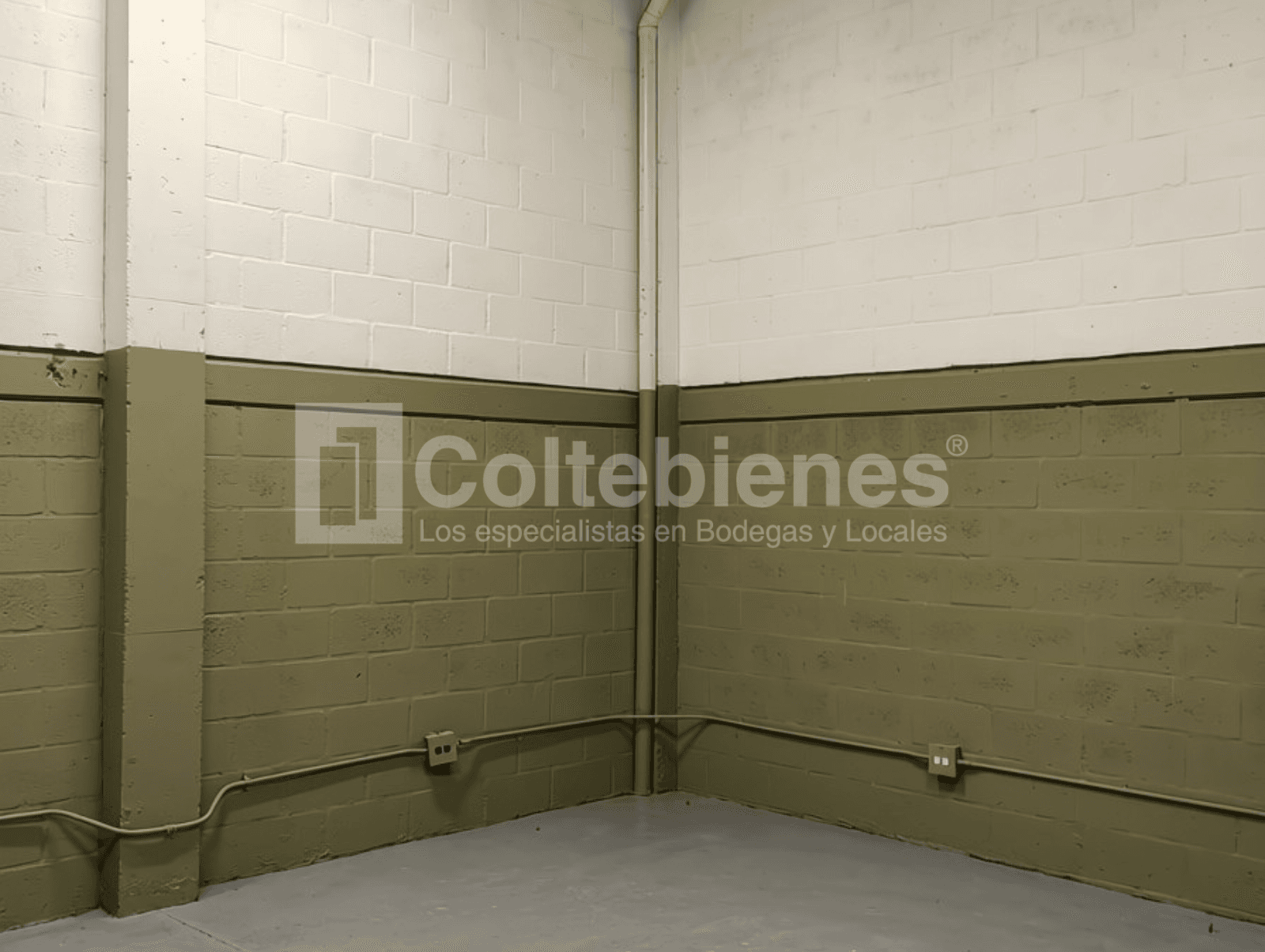 Bodega en arriendo – Trinidad, Medellín foto 3