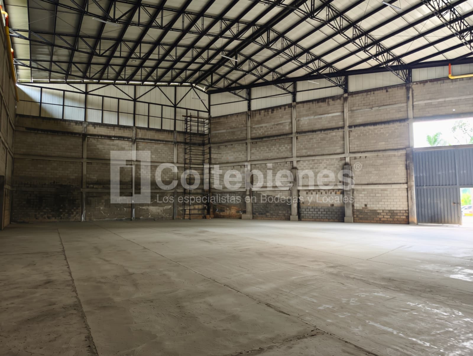 Bodega en arriendo - Vereda la Clara, Guarne foto 4