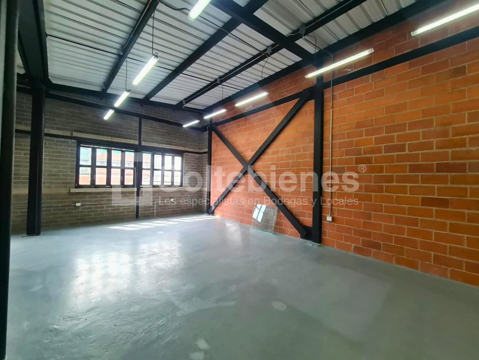 Bodega en arriendo - Campo Amor, Medellín foto 4