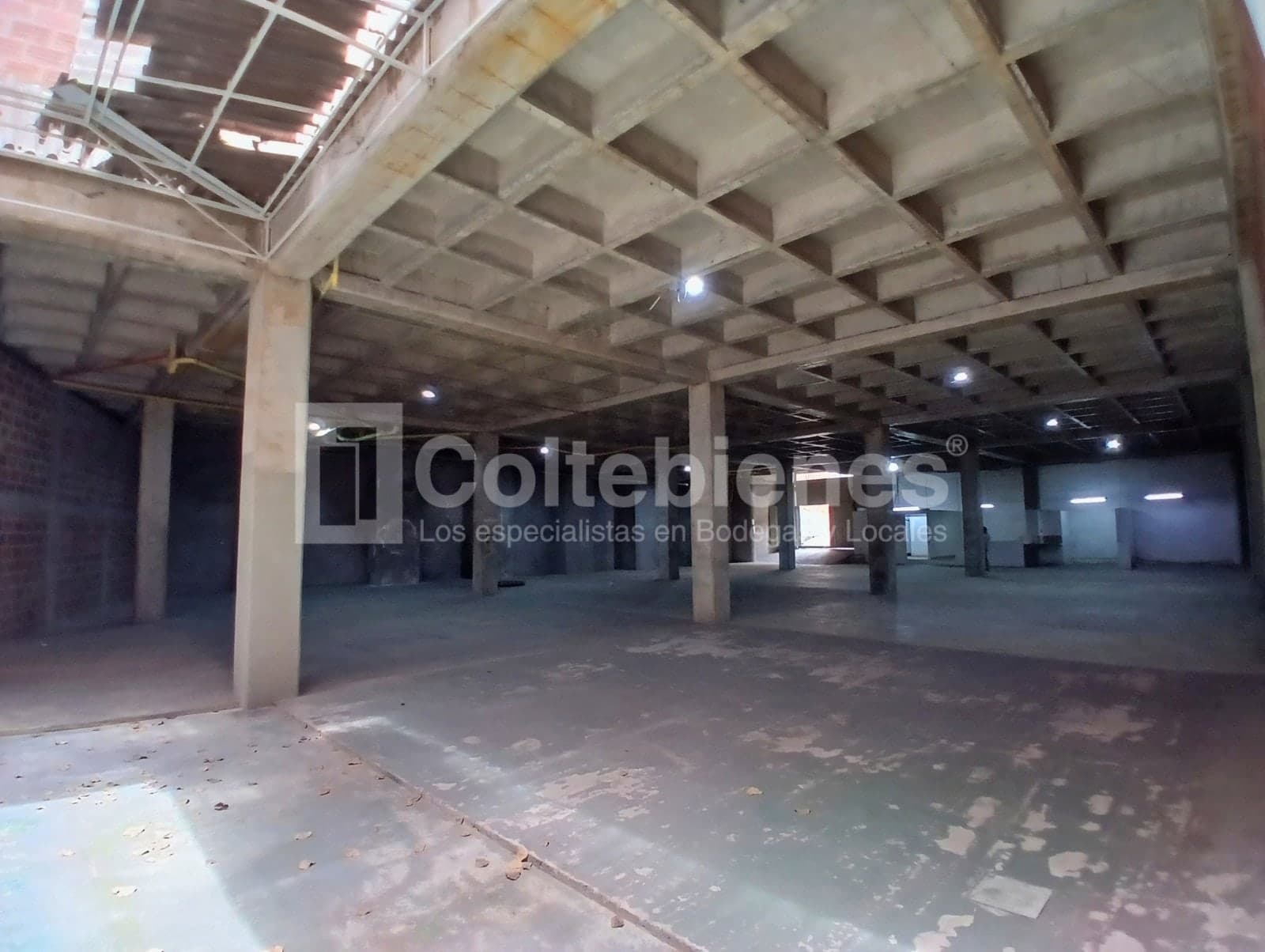 Bodega en arriendo - Sierra Morena, La Estrella foto 2
