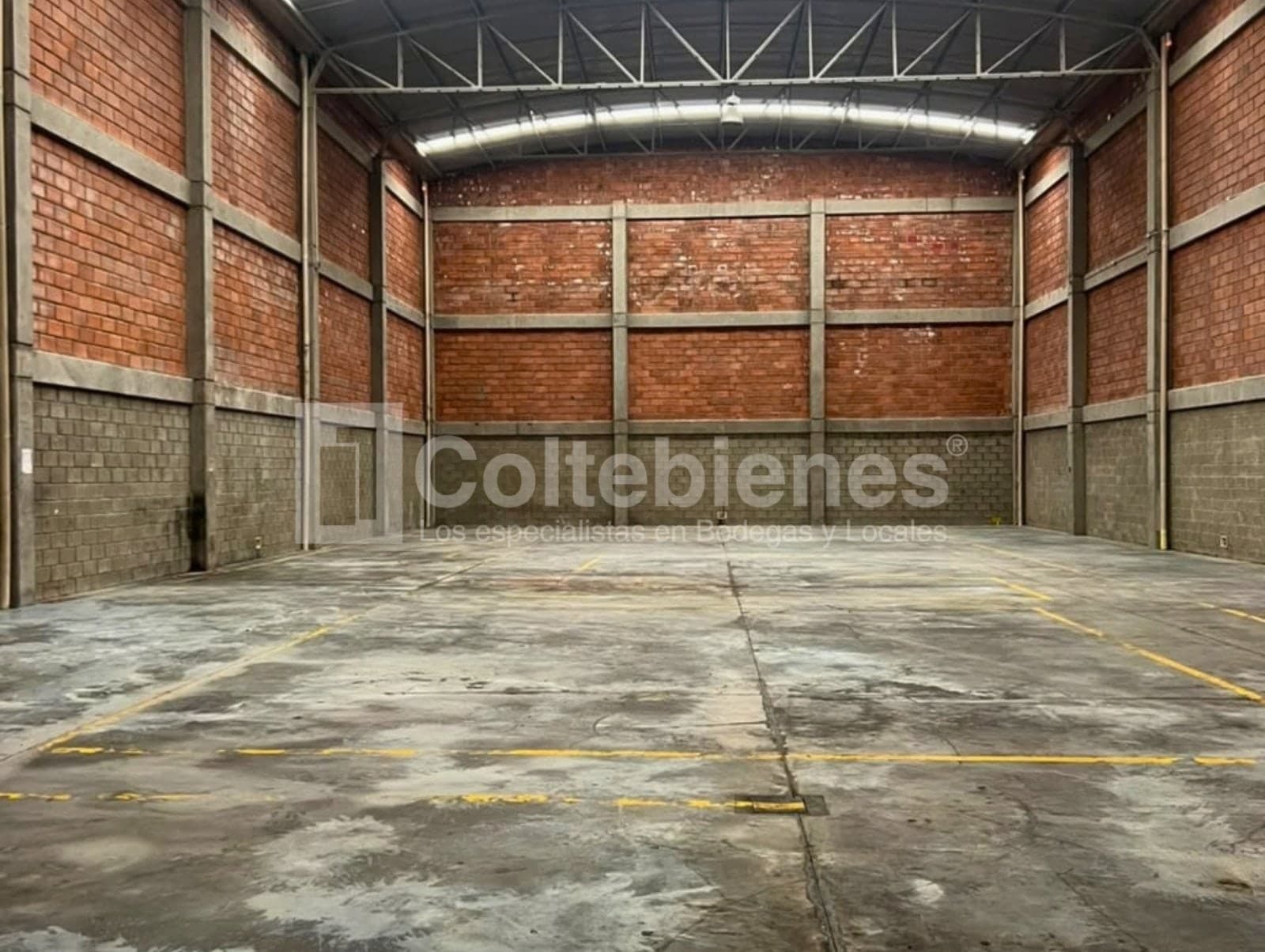 Bodega en arriendo - Asic, Sabaneta foto 3