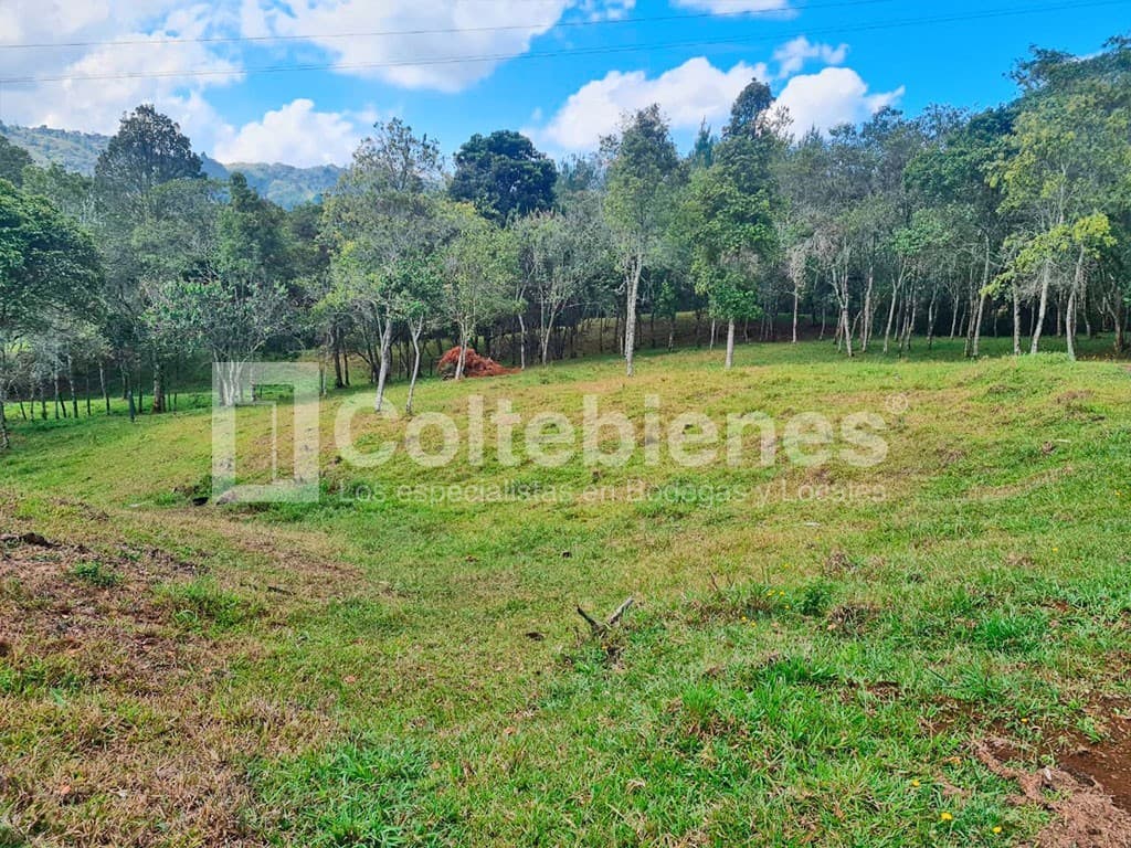 Lote en venta – La Honda, Guarne foto 5