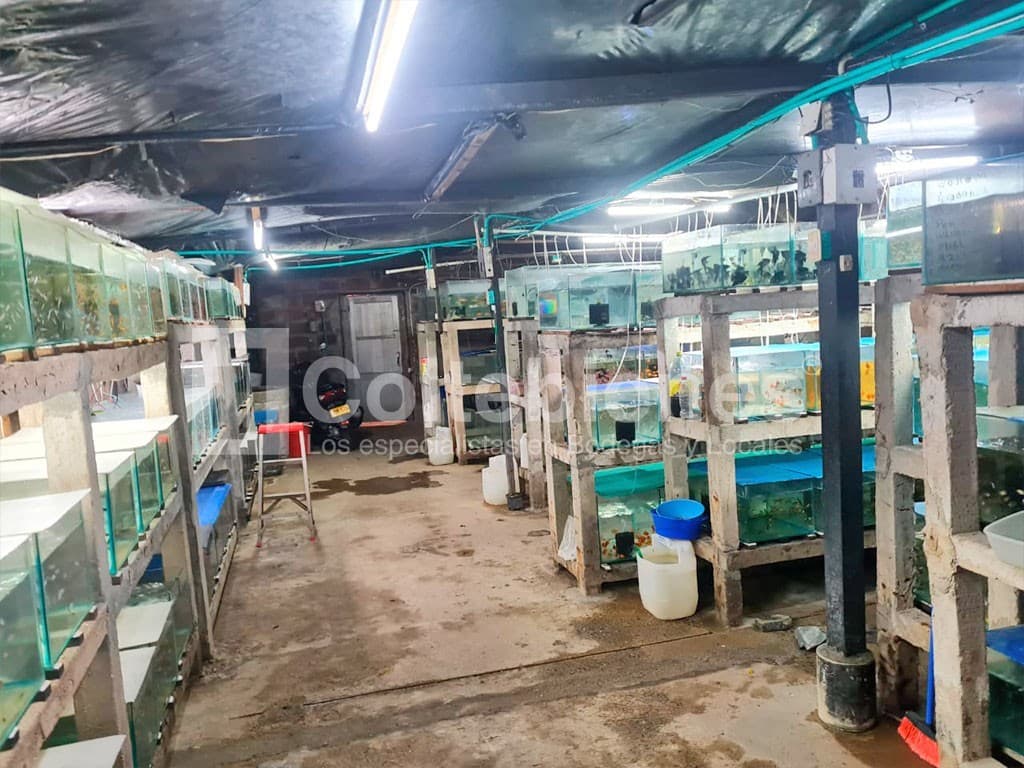 Local en arriendo/venta – Poblado, Medellín foto 4