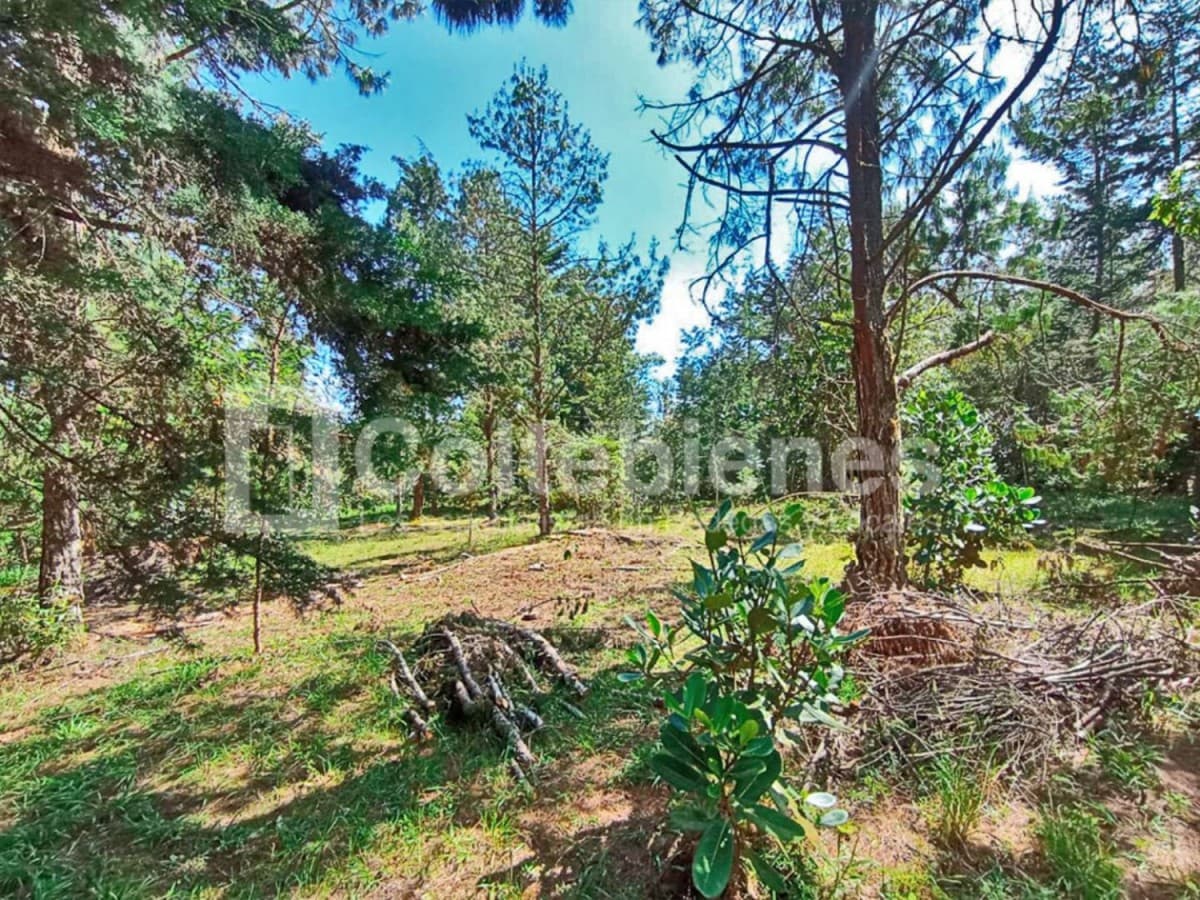 Lote en venta – El Retiro foto 3