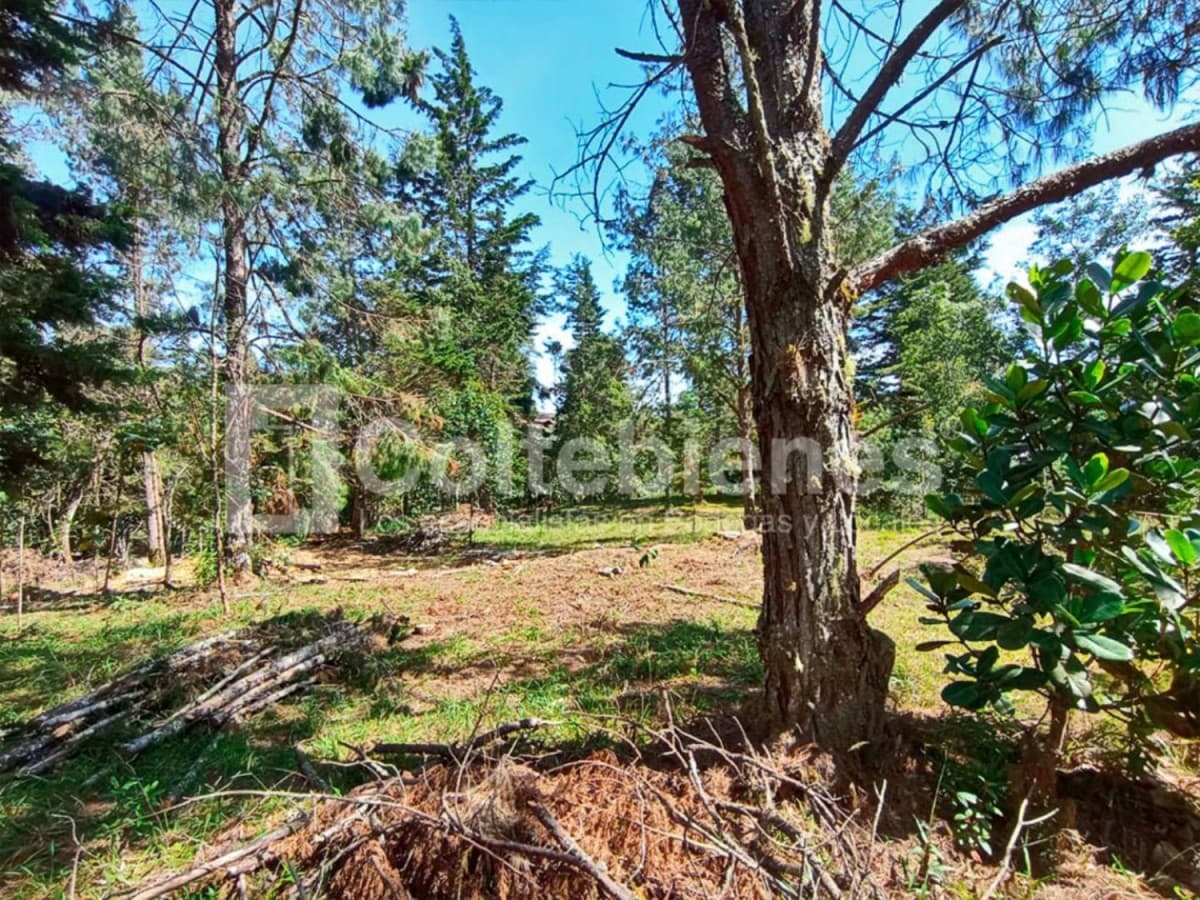 Lote en venta – El Retiro foto 4