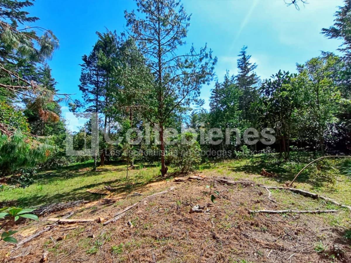 Lote en venta – El Retiro foto 5