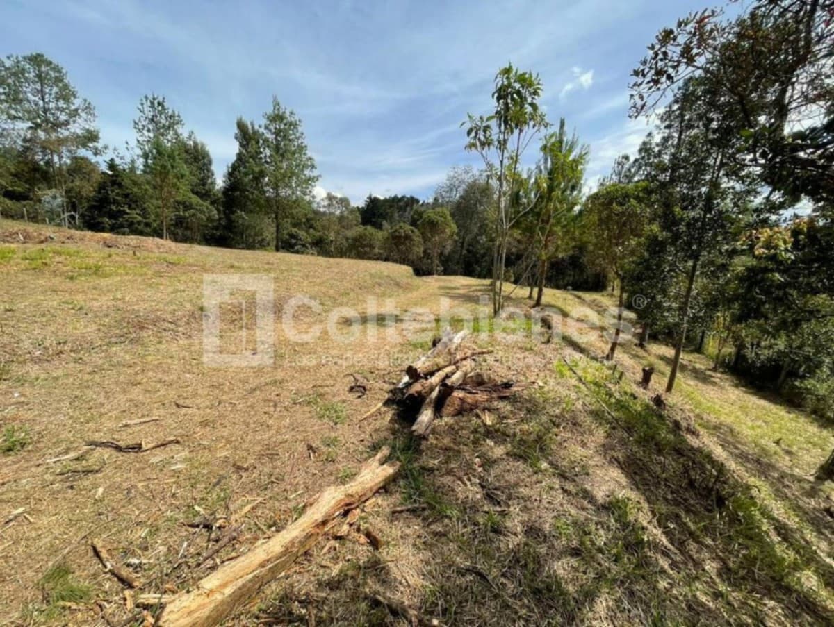 Lote en venta – Piedras Blancas, Guarne foto 5
